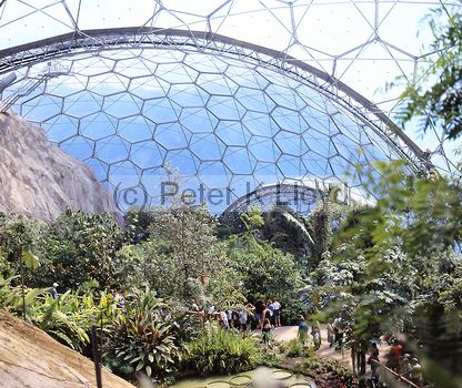 Eden Project Cornwall (inside a biome in first year)I