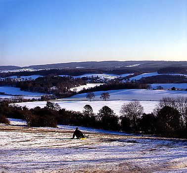 Man on sledge in snow at Newlands Corner Near Guildford Surrey