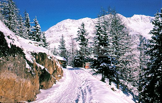 Alpine scene Mayrhofen Austria